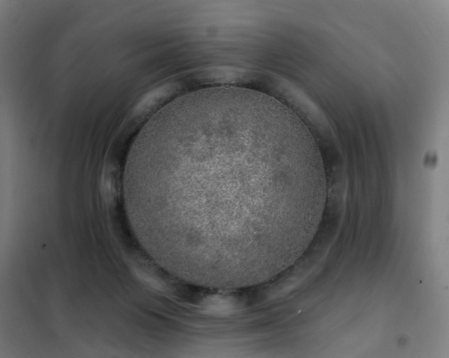 X0000102020119200807251341