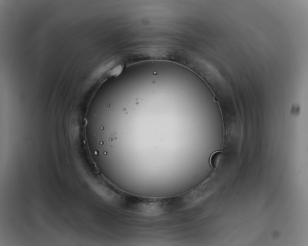 X0000102020120200807251341