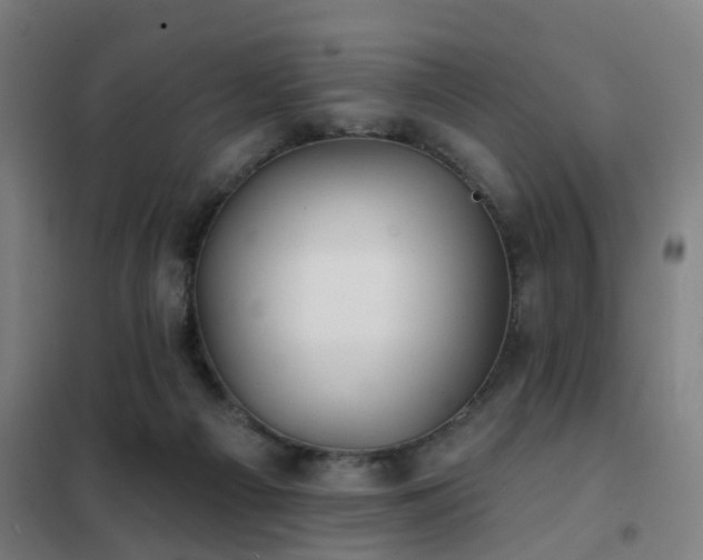 X0000102020121200807251341