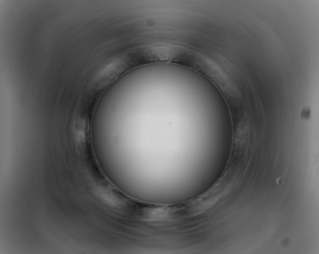 X0000102020122200807251341
