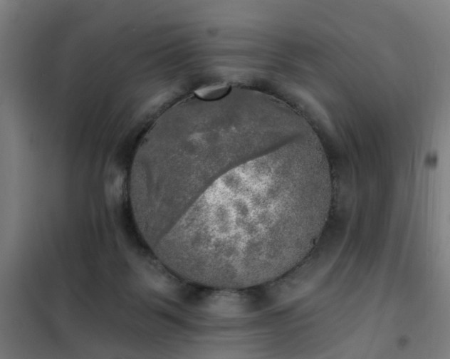 X0000102020123200807251341