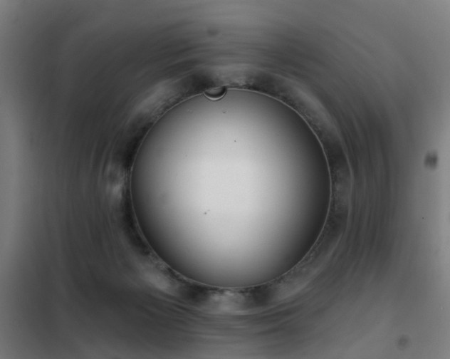 X0000102020125200807251340