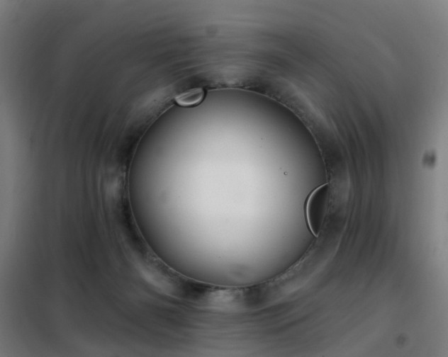 X0000102020126200807251340