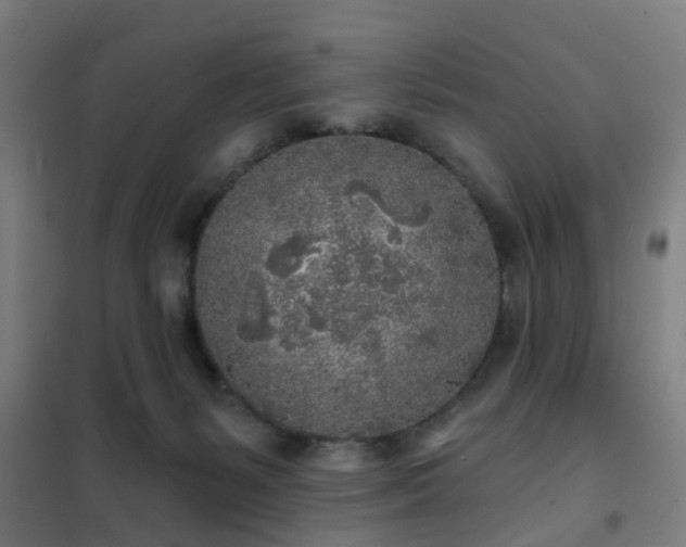 X0000102020127200807251340