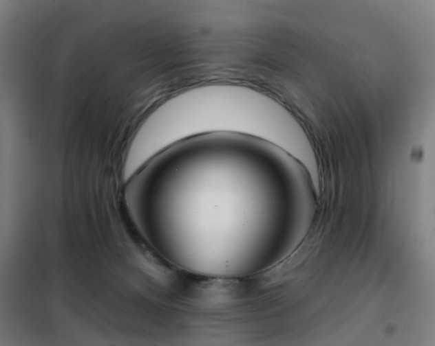 X0000102020128200807251340