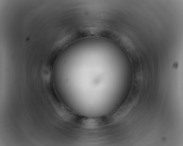 X0000102020129200807251340