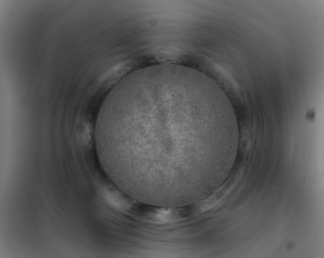 X0000102020130200807251340