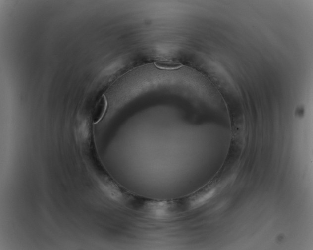 X0000102020131200807251340