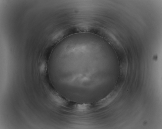 X0000102020134200807251340