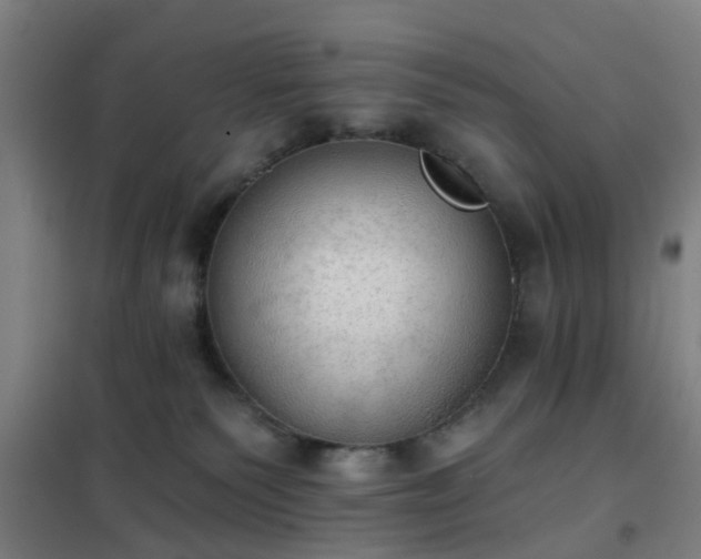 X0000102020135200807251340