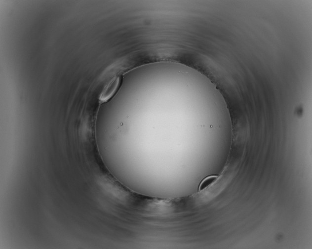 X0000102020140200807251340