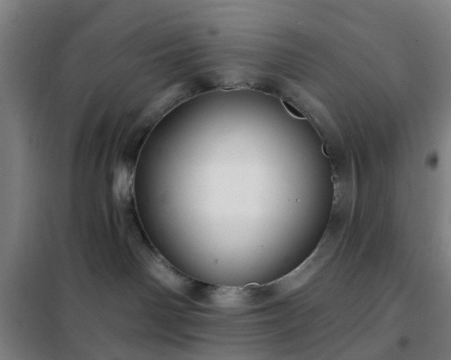 X0000102020142200807251340