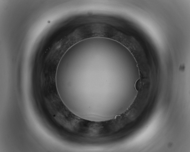 X0000102020143200807251340