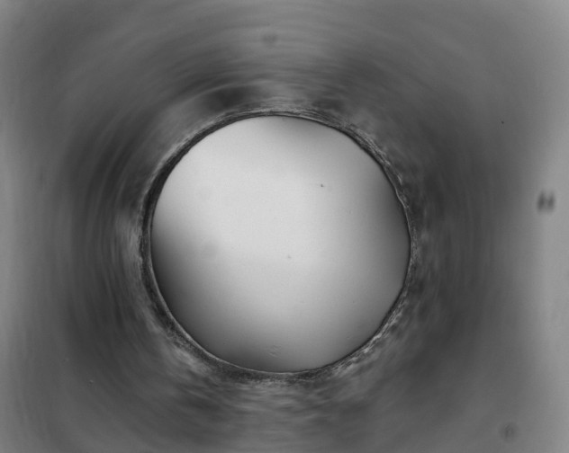 X0000102020146200807251339