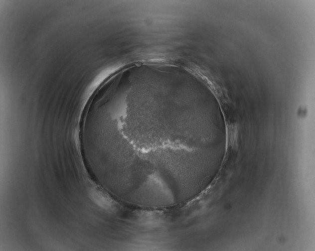 X0000102020147200807251339