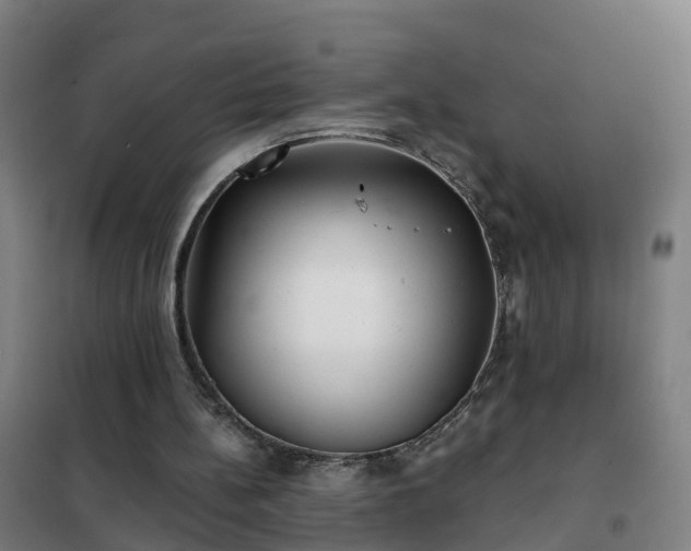X0000102020148200807251339