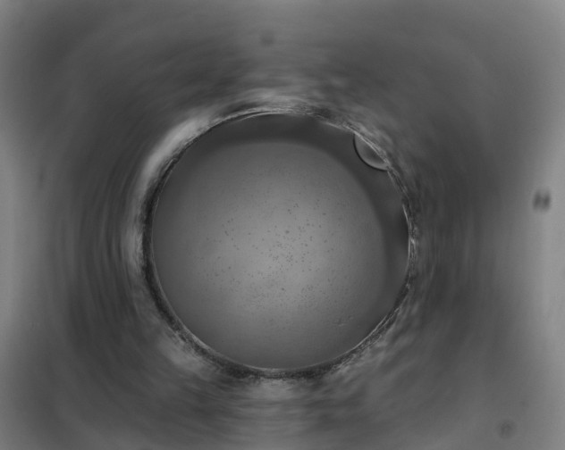 X0000102020149200807251339