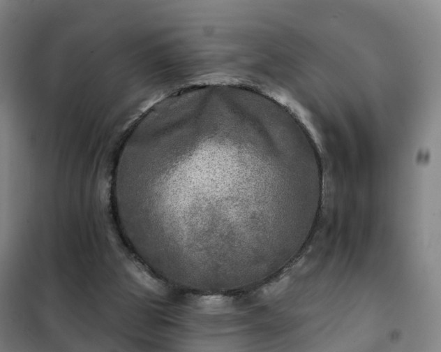 X0000102020153200807251340