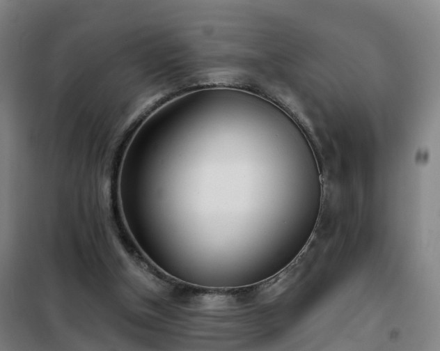 X0000102020154200807251340