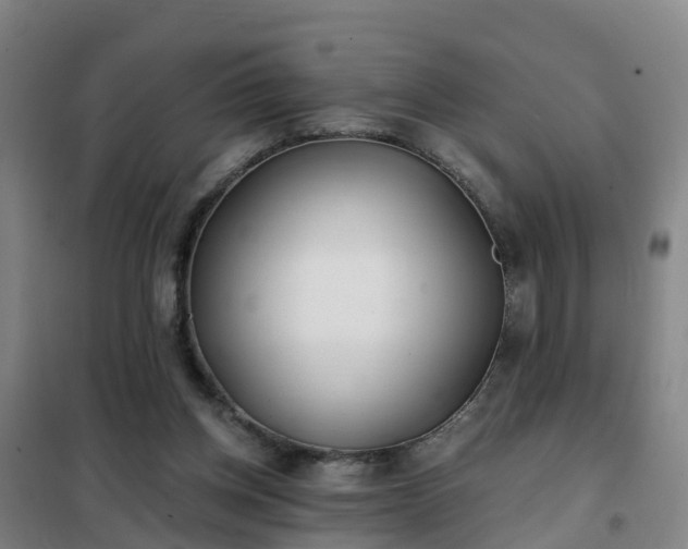 X0000102020158200807251340
