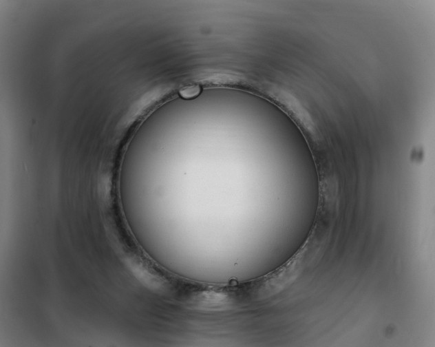 X0000102020159200807251340