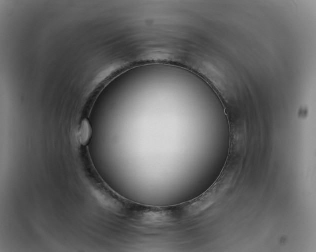 X0000102020160200807251340