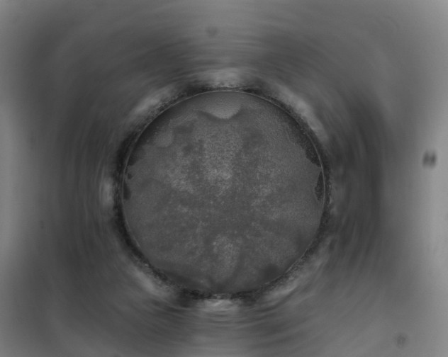 X0000102020161200807251340