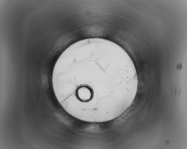 X0000102020162200807251340