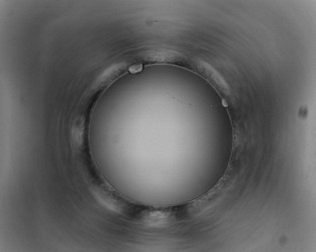 X0000102020163200807251340