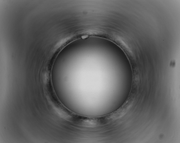 X0000102020164200807251340