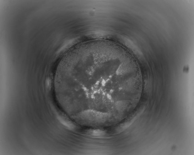 X0000102020165200807251340