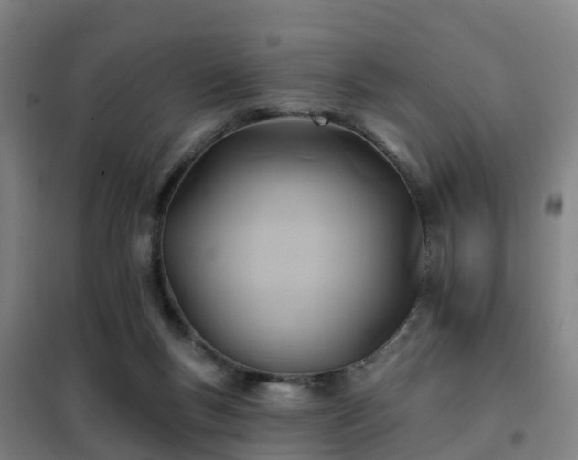 X0000102020167200807251340