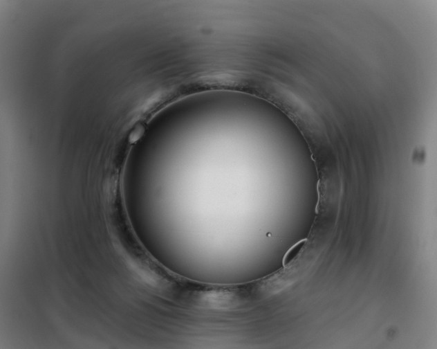X0000102020168200807251340