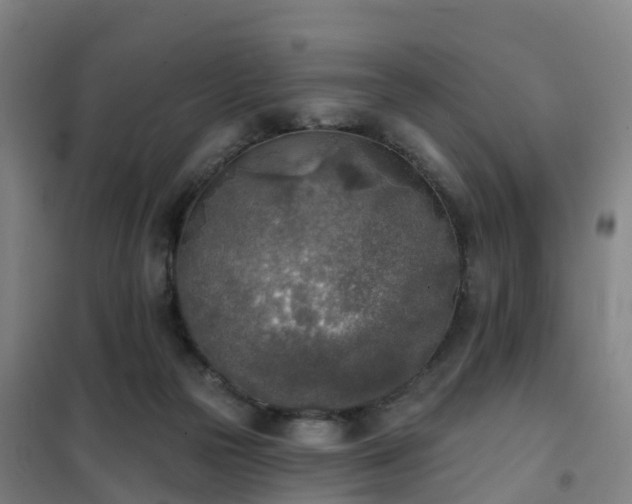 X0000102020169200807251340