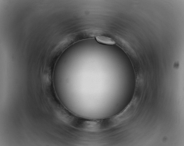 X0000102020170200807251340