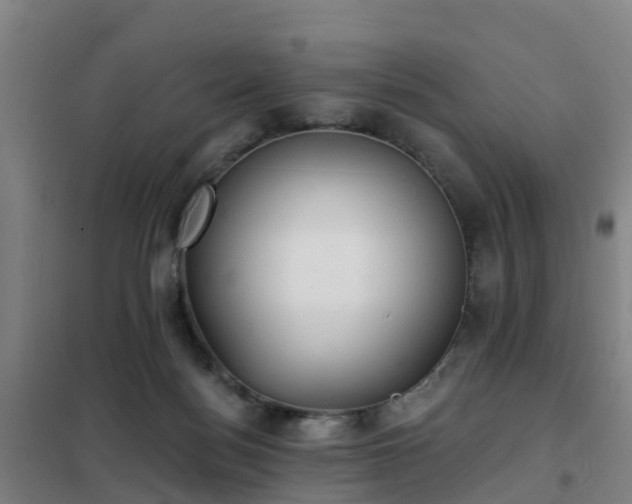 X0000102020172200807251340