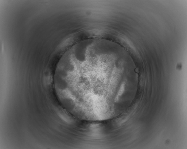 X0000102020173200807251340