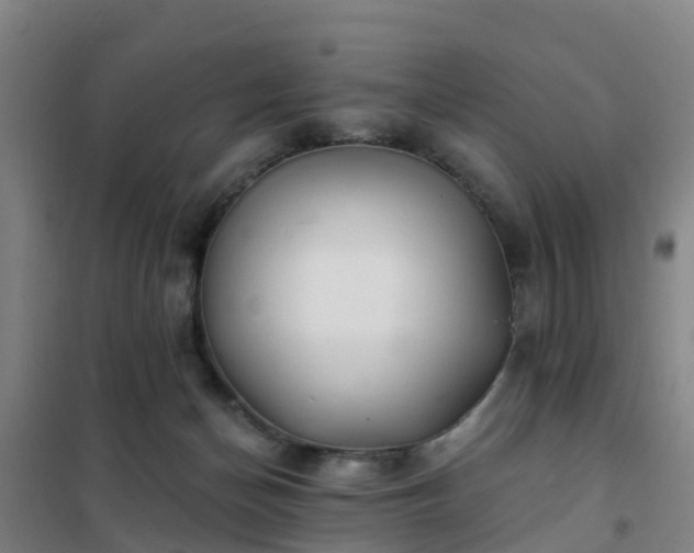 X0000102020174200807251340