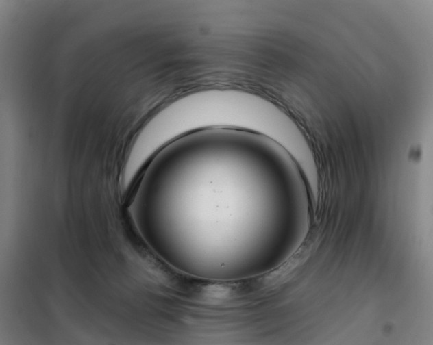 X0000102020176200807251340