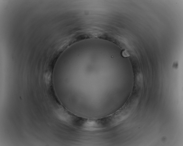 X0000102020177200807251340
