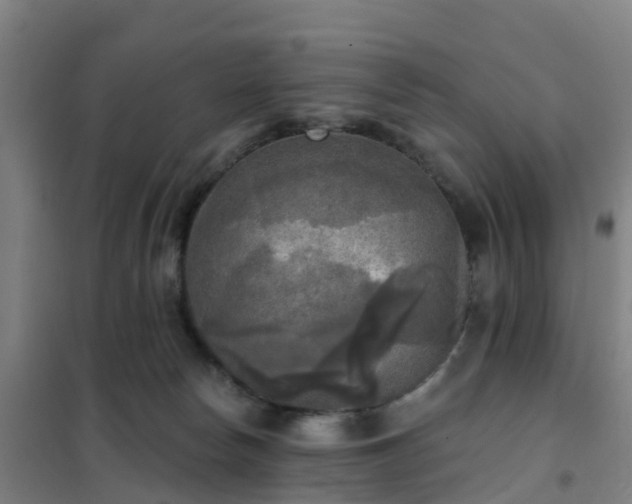 X0000102020178200807251340