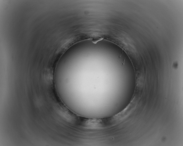 X0000102020179200807251340