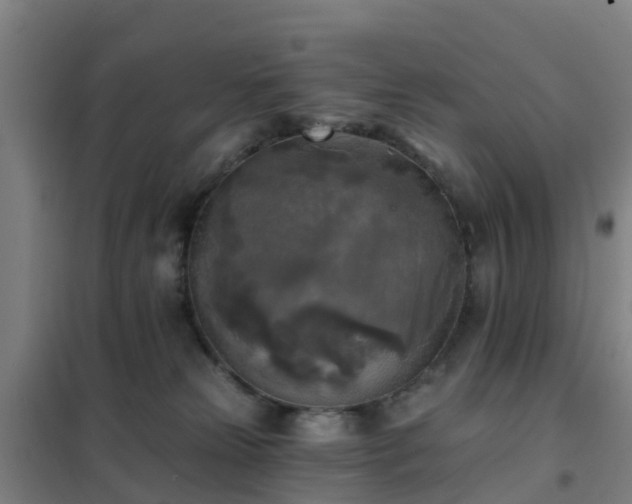 X0000102020181200807251340