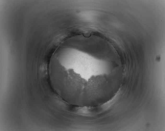 X0000102020182200807251340