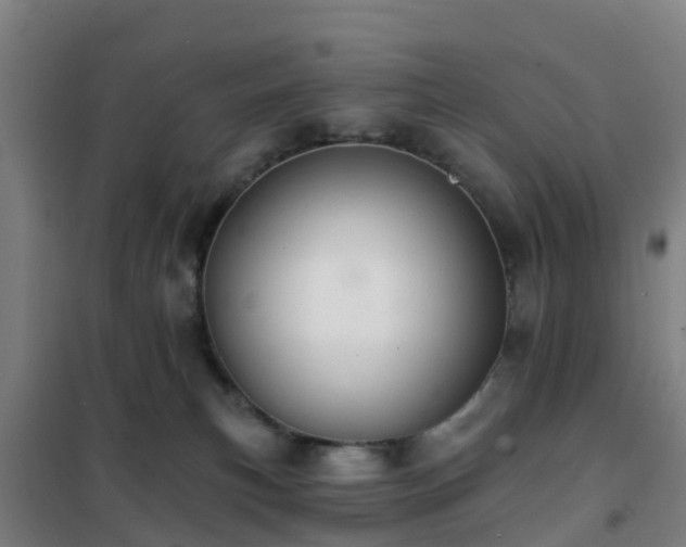 X0000102020183200807251340