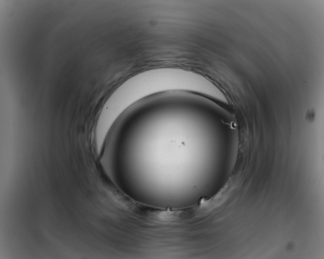 X0000102020184200807251340