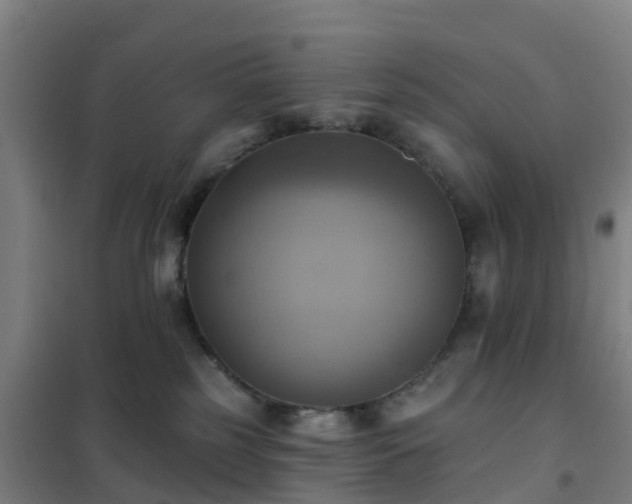 X0000102020185200807251340