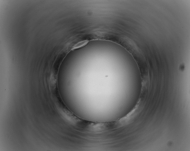 X0000102020186200807251340