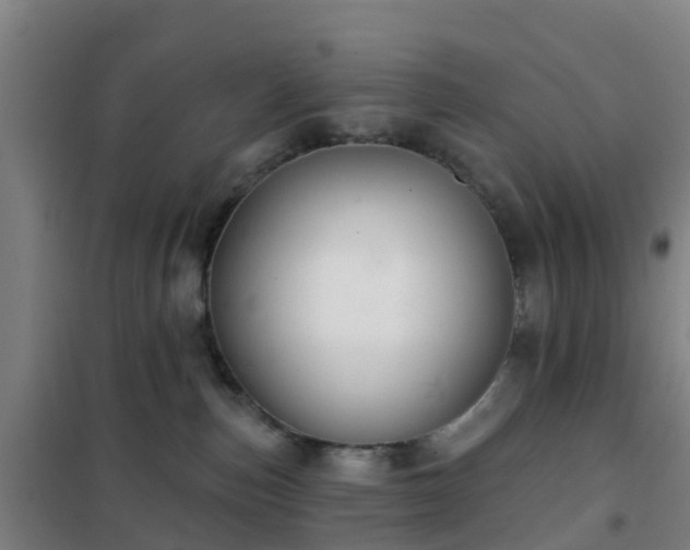 X0000102020187200807251340
