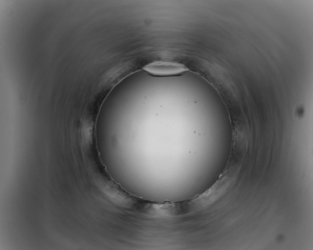 X0000102020188200807251340